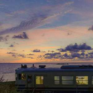 黑人异族XXXⅩ吊大i
