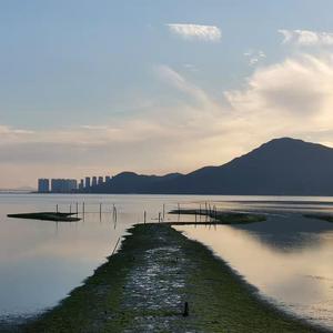 黑人异族XXXⅩ吊大i
