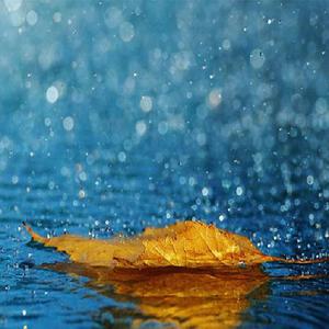 黑人异族XXXⅩ吊大i
